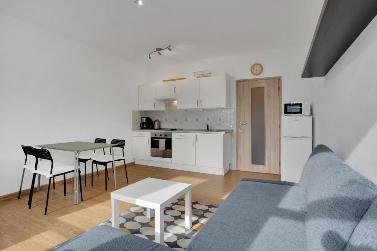 Horsky Apartman Klinovec 4 Loučná pod Klínovcem Kültér fotó